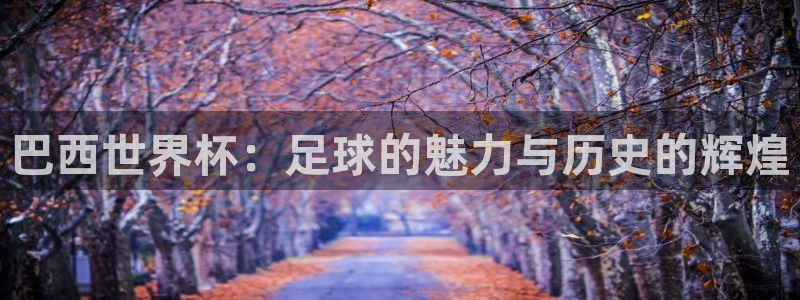2026年世界杯时间表：巴西世界杯：足球的魅力与历史的辉煌