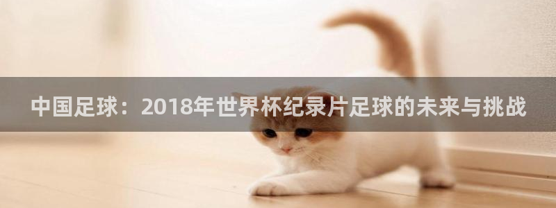 2026世界杯中国队：中国足球：2018年世界杯纪录片足球的未来与挑战