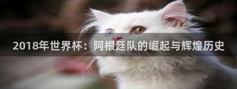 足球世界杯：2018年世界杯：阿根廷队的崛起与辉煌历史