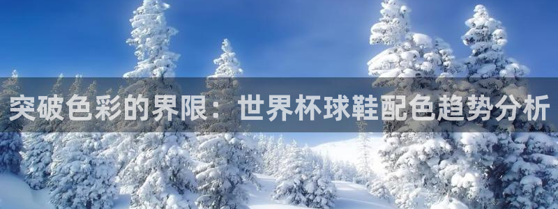 2026世界杯预选赛：突破色彩的界限：世界杯球鞋配色趋势分析