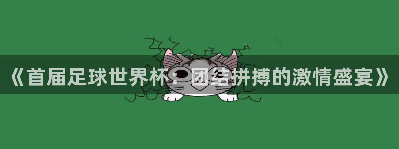 美国世界杯：《首届足球世界杯：团结拼搏的激情盛宴》