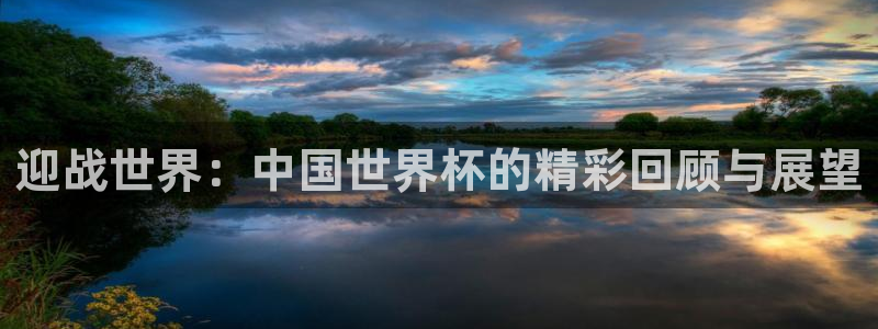 世界杯直播免费观看：迎战世界：中国世界杯的精彩回顾与展望