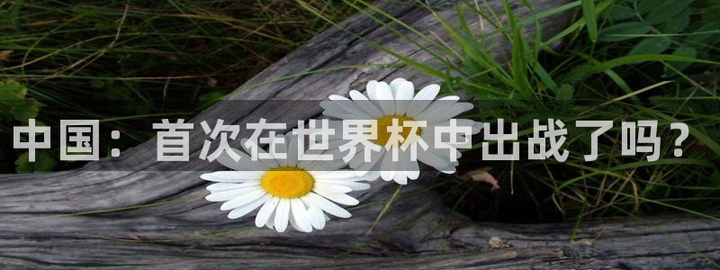 世界杯赛程表：中国：首次在世界杯中出战了吗？