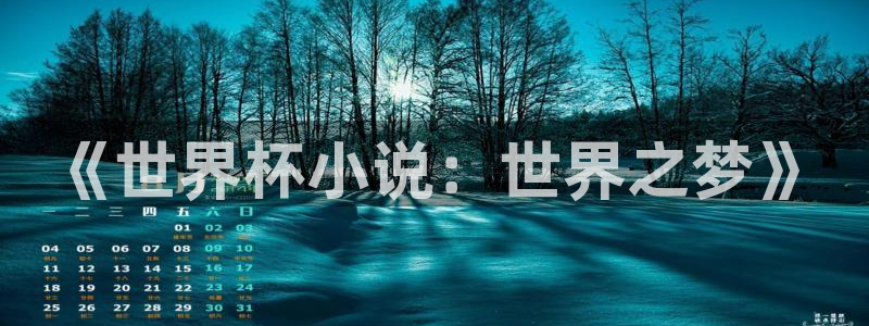 2026世界杯预选赛：《世界杯小说：世界之梦》