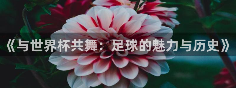 世界杯预选赛欧洲：《与世界杯共舞：足球的魅力与历史》