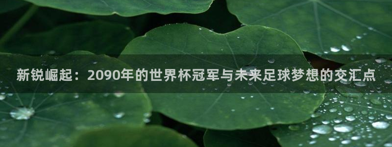 世界杯预赛赛程：新锐崛起：2090年的世界杯冠军与未来足球梦想的交汇点
