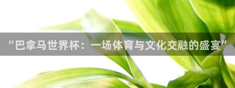 足球世界杯2026年赛程时间表：“巴拿马世界杯：一场体育与文化交融的盛宴”