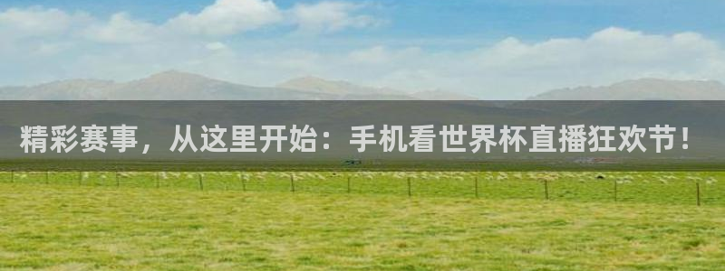 2026世界杯亚洲区预选赛赛程：精彩赛事，从这里开始：手机看世界杯直播狂欢节！
