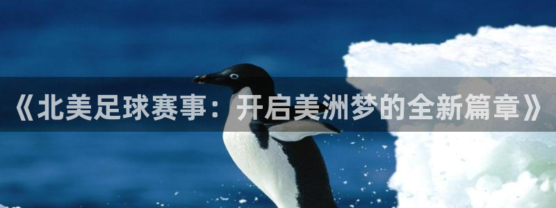 世界杯对阵图2026：《北美足球赛事：开启美洲梦的全新篇章》