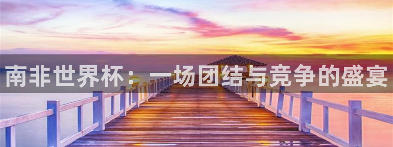 2026世界杯中国队：南非世界杯：一场团结与竞争的盛宴