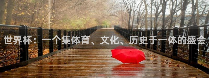 2026世界杯赛程时间表最新：世界杯：一个集体育、文化、历史于一体的盛会
